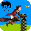 Flying Potter : Quidditch Challenge