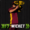 Hit Wicket Cricket - West Indies League Game无法安装怎么办