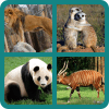 Animal quiz kids trivia pics games