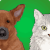 Pet Run: Cats & Dogs