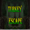 Turkey Escape