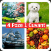 Cuvinte:4 Poze 1 Cuvânt中文版下载