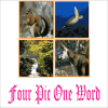 Four Pics One Word安全下载