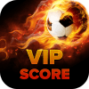 Vip Score