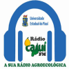 Rádio Cajuí