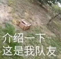 绝地求生全军出击吉利服是什么 绝地求生手游黑话大全