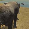 Wild Jungle Elephant Attack