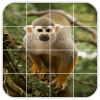 Tile Puzzles · Monkeys怎么下载