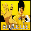 Bruce Lee Of Top Cheat绿色版下载