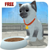 Kitty Simulator 3D版本更新