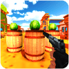 Real Watermelon Shooting Expertiphone版下载