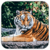 Tile Puzzles · Wild Animals