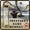 Brain memory countdown