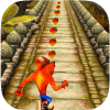 Temple Crash Jungle Run Bandicot绿色版下载