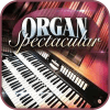 Best Organ Spectacular 2018