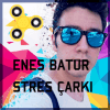 Enes Batur Stres Çarkı安全下载