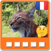 Animaux: Quiz d'animaux en francais