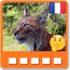 Animaux: Quiz d'animaux en francais安卓版下载