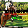 Triple Crown Horses Racer 2018