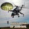 Rules Royal Of Survival安卓版下载