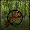 丛林动物狩猎真正的狙击手射击