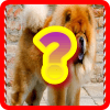 Guess the Dog版本更新