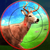 Deer Hunt Safari Sniper Animals Hunter