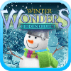 Hidden Object - Winter Wonders免费下载