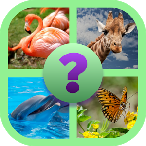 Reveal The Animal Quiz