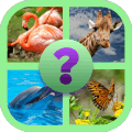 Reveal The Animal Quiz官方下载