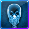 Full Body Xray Scanner Prank怎么下载