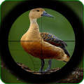 Extreme Jungle Birds Hunting绿色版下载