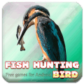 Fish hunting bird终极版下载