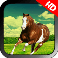 Horse Simulator 2017如何升级版本