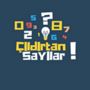 Çıldırtan Sayılar