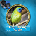 Kicau burung Cucak Rowo Mp3安卓版下载