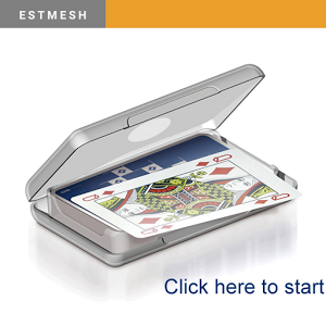 Estmesh-Play Estimation Online