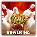 BowlKing Bowling绿色版下载