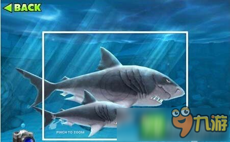 饥饿的鲨鱼进化独角鲸和巨齿鲨哪个强 对比解析