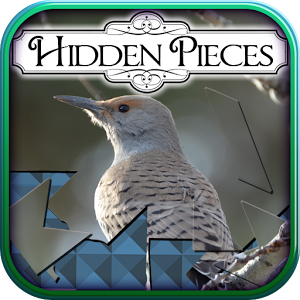 Hidden Pieces: Winter Birding