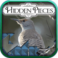 Hidden Pieces: Winter Birding怎么下载