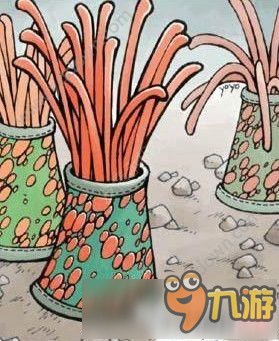 仙境传说RO手游海葵卡片在哪掉落 卡片图鉴之海葵获取攻略