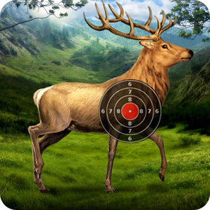 Deer Target Shooting