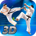 Karate Fighting Tiger 3D - 2在哪下载