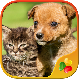 Dogs vs Cats: Kid Puzzle Games