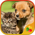 Dogs vs Cats: Kid Puzzle Games在哪下载