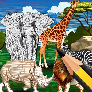 Animal Coloring Kingdom AR