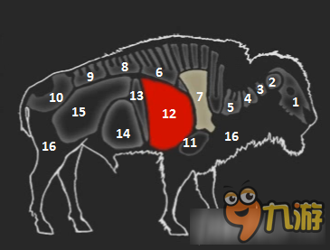 《猎人：野性的呼唤》全生物器官分布及弱点详解