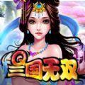 Q三国无双费流量吗