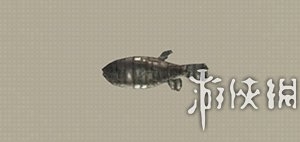 《尼爾：機(jī)械紀(jì)元》釣魚(yú)全可獲得物品匯總